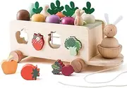 Toddlers Montessori Toy Wooden Educational Toys for Baby Boys Girls Shape Sorting & Matching Fine Motor Skills Toy Birthday Gifts for Kids