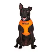 NO DOGS - Medium adjustable Vest Harness