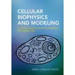 CELLULAR BIOPHYSICS AND MODELING: A PRIMER ON THE COMPUTATIONAL BIOLOGY OF EXCITABLE CELLS