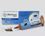 Max Force Gold Cockroach Bait Fast Results Highly