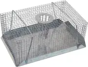 Medalist Top Funnel Catch and Release Mouse Trap Wire, Silver