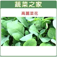 在飛比找樂天市場購物網優惠-【蔬菜之家】A09.高麗菜花種子(黃花芥藍菜、芥蘭菜)(共有