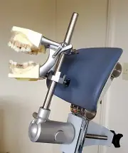 Periodontal Hygiene Simulator MANIKIN Practice Model Training Chair Mount
