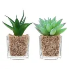 2 Pcs Simulation Succulent Bonsai Artificial Succulents Plants Arrangement