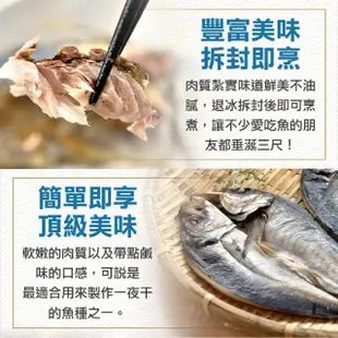 【享吃海鮮】黃金竹筴魚一夜干20片組(2片裝/330g±10%/包)