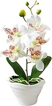 Fake Orchid 5 Heads Artificial Orchids Potted Plant 10.6'' Realistic Orchids Artificial Flowers in Pot Phalaenopsis Orchid with Vase for Table Centerpiece Wedding Decor Artificial Orchids That Look R