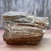 2 LB SO UTAH Raw Rough PETRIFIED FOSSIL WOOD Log 4.25” CRYSTALIZED TEXTURE COVER
