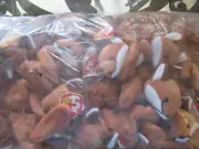 12 Rare Ty Beanie Baby SLY the Fox 1995 in orginal bag