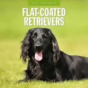 Flat Coated Retrievers - 2025 Square Wall Calendar Animals 16 Months Planner