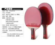 **Ping Pong Racket EASY Pick Table Tennis Paddle Promotion Deal DHS Butterfly DF