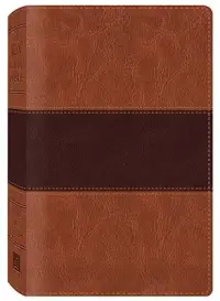 在飛比找博客來優惠-Study Bible-KJV