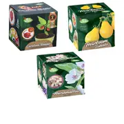 Mrs Green Mrs. Green Whimsy Garden Plant Kit - Heirloom Tomato