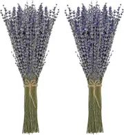Lertenys Dried Lavender Bundles 100% Natural Dried Lavender Flowers for Home Decoration, Photo Props, Home Fragrance, 2 Bundles Pack