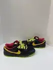 Nike Sb Dunk Low Space Tiger 2008 Size 6 Brand New 313170-071