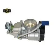 RAE Throttle Body - TB035N