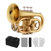 Pocket Trumpet Bb Flat Brass Material Wind Instrument with L0Q6