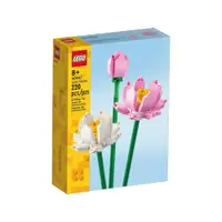 在飛比找蝦皮商城優惠-玩具反斗城 LEGO樂高 蓮花 40647