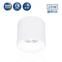 在飛比找樂天市場購物網優惠-舞光 20W神盾筒燈 LED-CEA20D【高雄永興照明】