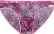 [FARZAH] Women Panties Female Underwear 1-2 Pcs Sexy Full Transparent Men's Mesh Underwear Ultra-Thin Breathable Ice Silk Seamless Briefs Erotic Male Underpants(Color:1 PCS Red Flower,Size:XL)
