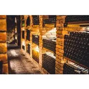 Save 12.00%! From Bologna: Brunch, balsamic vinegar and wines in Food Valley