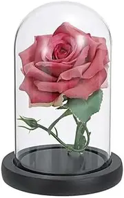 Decorative Clear Glass Dome,Wooden Base with Black Spray Paint,Decorative Display Case for Plants,Figurines,Candles,and Collectibles,for Home Wedding Party Centerpiece Display Stand DIY Decor