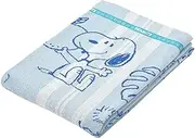 Nishikawa Snoopy Towel Blanket, Single, Washable, 100% Cotton, Peanuts PN3600BD, Blue FR03500001