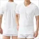 【BVD】時尚型男100%美國純棉U領短袖衫 5件組 BD335
