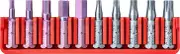 PB Swiss Tools Hex Torx Bit Block PB C6.704 CN | 100% Swiss Made | 10-Piece Bit Set with C6 1/4" PrecisionBits, Size Hex 2.5-6 mm, T10-T30