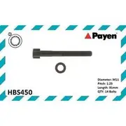 Payen Cylinder Head Bolt Set - HBS450