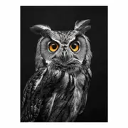 Owl Canvas Print