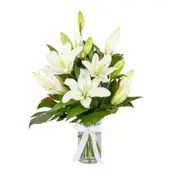 Interflora | Sympathy Lilies