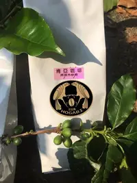 在飛比找Yahoo!奇摩拍賣優惠-批發咖啡豆 新鮮烘焙 爪哇咖啡 義式咖啡 咖啡豆