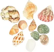 POPETPOP 1 Set Hermit Crab Shells Hermit Crab Supplies Hermit Crab House Crab Shell Ornaments Aquarium Decoration Ornament (Random Color)