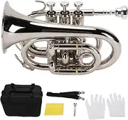 Standard Bb Trumpet Set, Mini Trumpet with Carrying Case, Mouthpiece, Gloves, Ideal for Beginner Learning, Students Graduation Exams, Golden