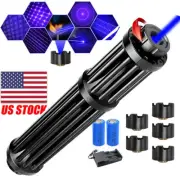Blue Laser Pointer Burning Visible Beam Dot Light 2X batteries#