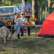 CostwayPortable Picnic Table with All-Weather HDPE Tabletop-Grey