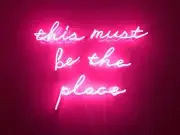 This Must Be The Place Pink Acrylic 24"x20" Neon Light Sign Lamp With Dimmer