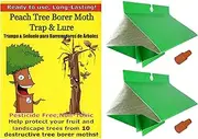 VivaTrap! Peach Tree Borer Moth Trap and Long Life Lure (2 Pack 8 Week)