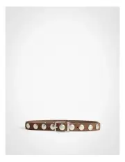 [Witchery] Studded Leather Belt in Walnut