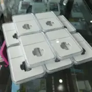 10 x 29mm Coin Slabs Suits 20c & Florin White Insert Clear Display, Aussie Se...