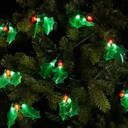 7.9M 60 LED 20 Holly & Berry Christmas Party String Lights