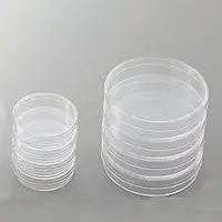 在飛比找蝦皮購物優惠-塑膠培養皿(零售)   二分隔培養皿  三分隔培養皿 實驗器