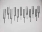 Set of 12 Mineral Nutrients Human Deficiency Unweighted Tuning Forks with Mallet