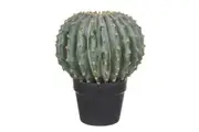Rogue Artificial Barrel Cactus Plant in Garden Pot Fake Succulent Potted Plant