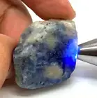 156.5CT. Rough Blue Sapphire Top Colors Natural UnHreated 100%