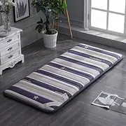 Japanese Tatami Floor Mattress Sleeping Pad Anti-Slip Breathable Student Dormitory Folding Mattress Futon Mattress Topper Single Double Bed Mattress,21,150x200cm(59x79)
