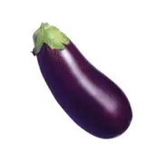 Organic Eggplant - Fresh, healthy organic delivery | Doorstep Organics
