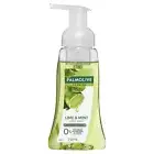 Palmolive Lime A/Bact H/Wsh Foam 250Ml