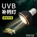 烏龜燈UVB龜燈UVA全光譜太陽燈泡烏龜龜缸曬背燈爬寵蜥蜴爬蟲補鈣三合一 交換禮物