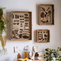 在飛比找樂天市場購物網優惠-實木標本相框立體植物干花昆蟲貝殼展示畫框diy墻面裝飾壁掛復